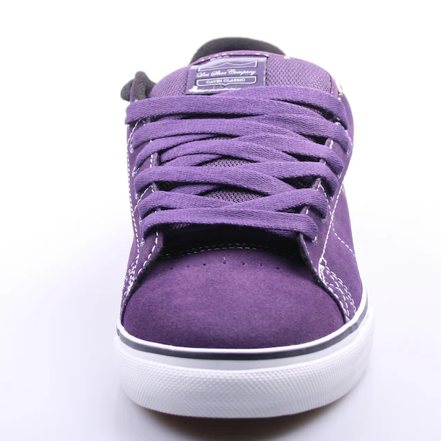 DVS Schuhe Gavin CT purple suede